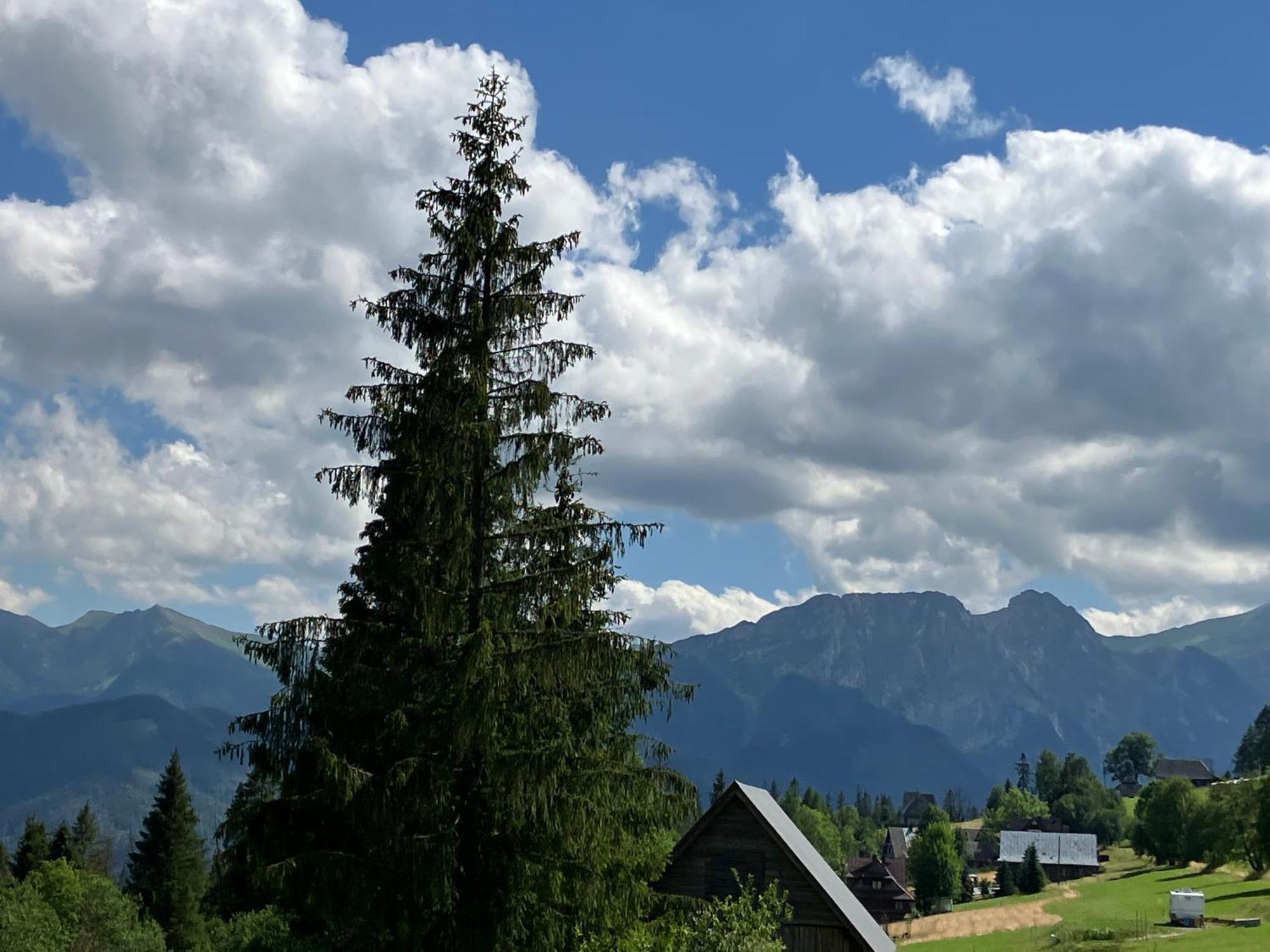 Hotel Mala Bawaria Zakopane Exterior foto