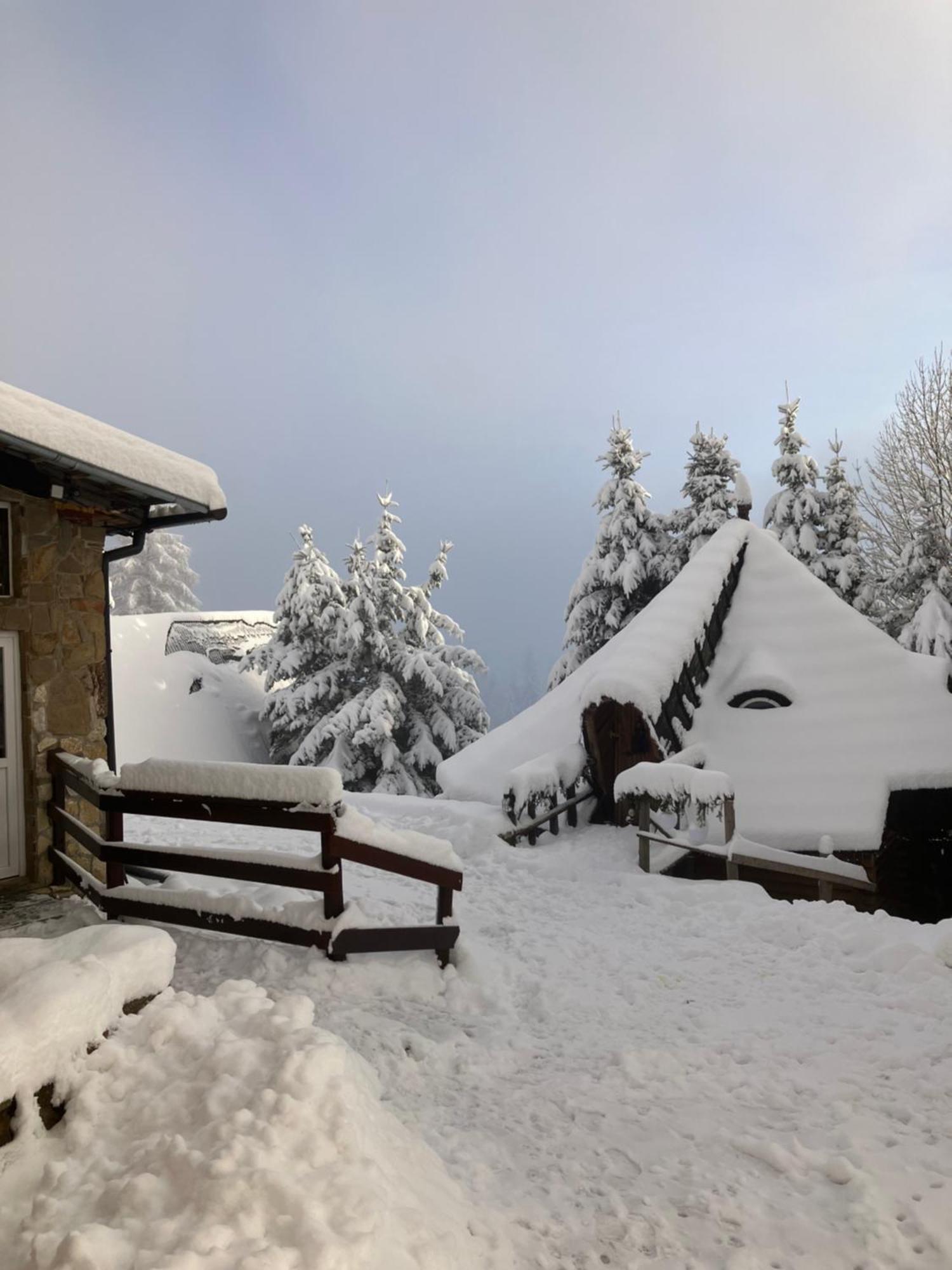 Hotel Mala Bawaria Zakopane Exterior foto